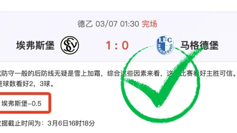 阿森纳斯凯利转会传闻：专家分析大乐透期号推荐